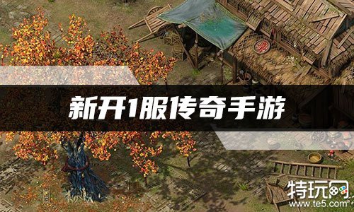 二、游戏特点