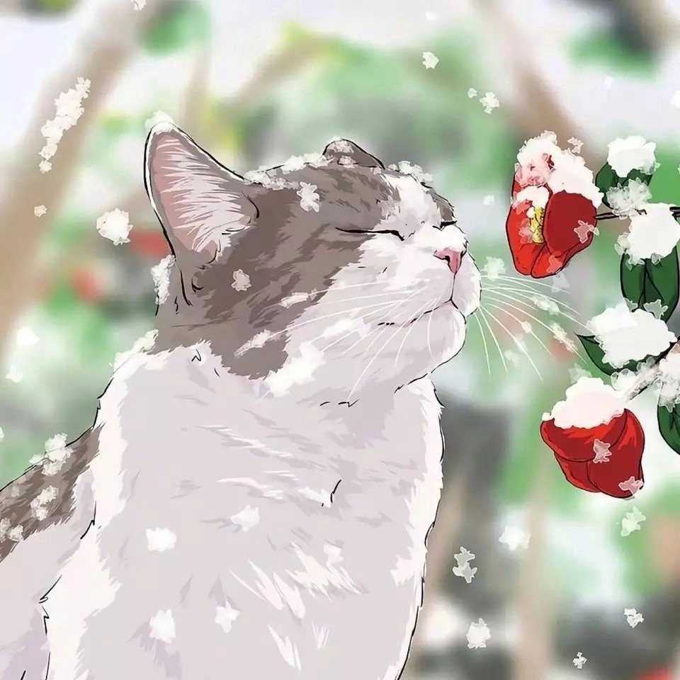 三、作品质量